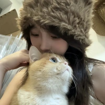 小楼金晓 海报